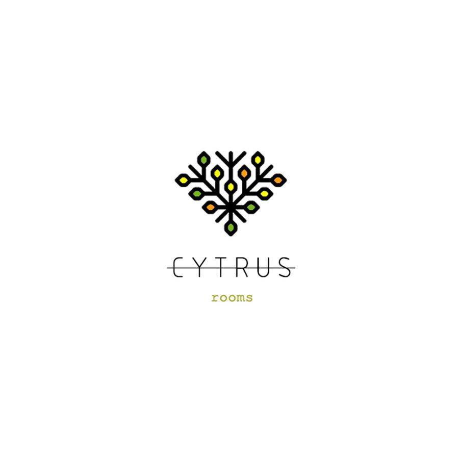 הוילה מרינה די מסה Cytrus Apartament מראה חיצוני תמונה